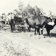 A picnic, cnr 3rd and Stiglingh - 1914