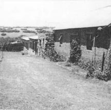 The Grail Cottages - 1955 - the view towards what is Gallo Manor